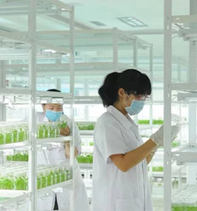 麻豆成人影院在线仪器