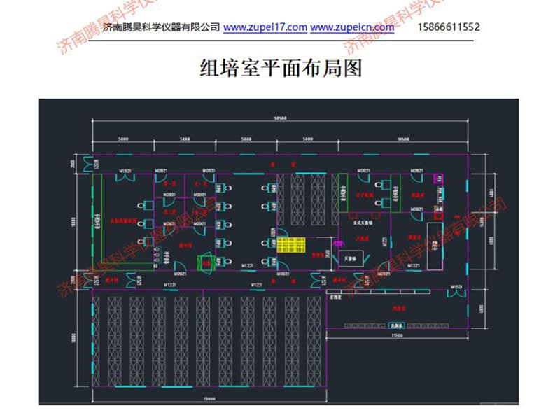 山东麻豆成人影院在线室(培养室)建设设计