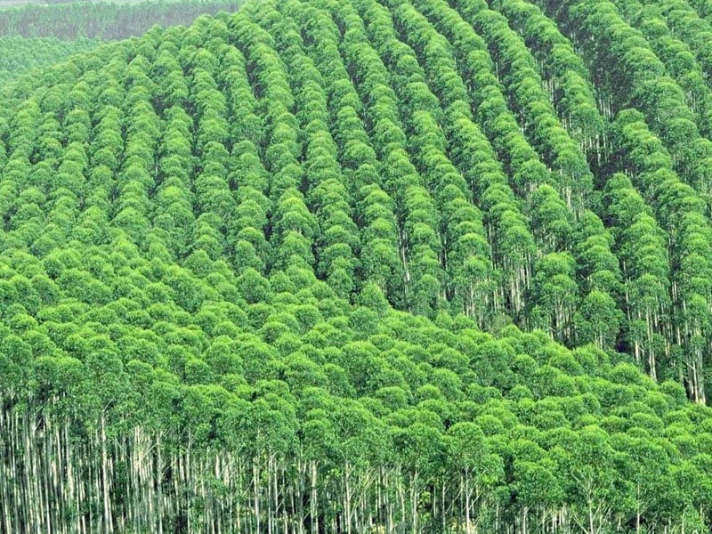 桉树麻豆成人影院在线室及仪器设备