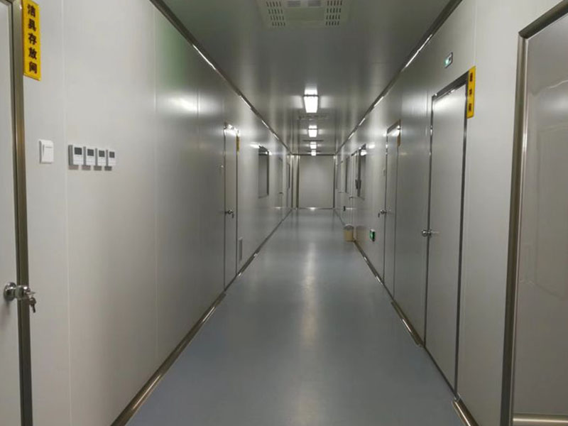 麻豆成人影院在线室净化
