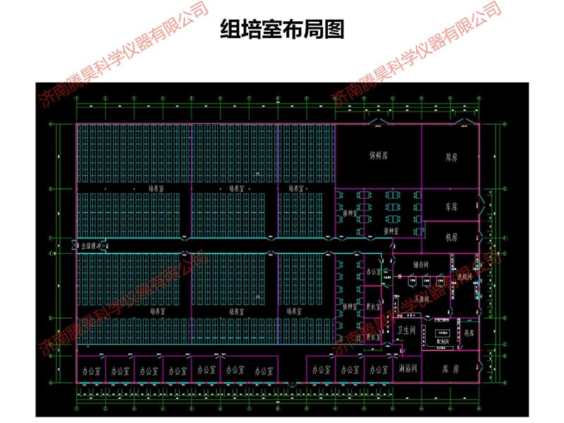 张家口麻豆成人影院在线室设计图