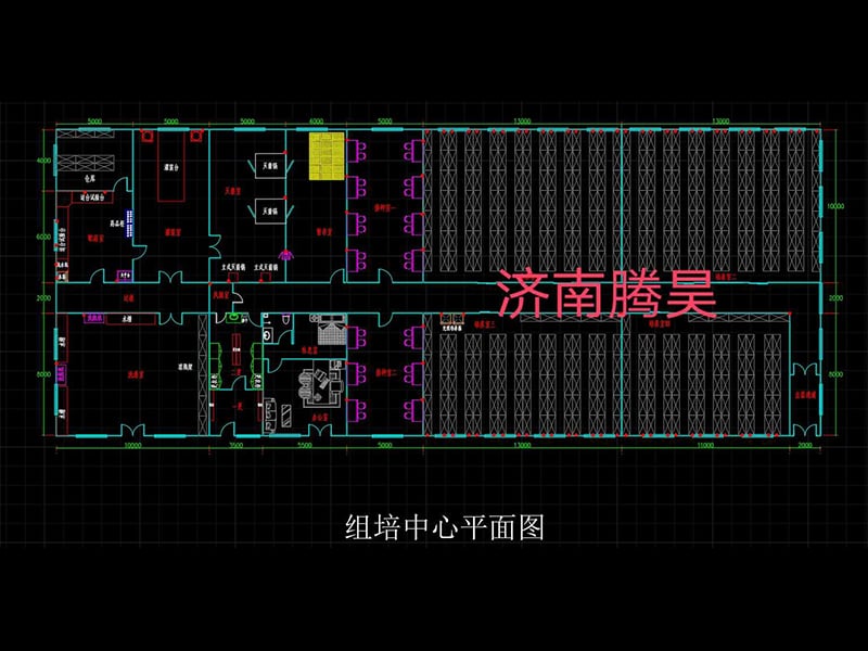 900平米麻豆成人影院在线室平面设计图