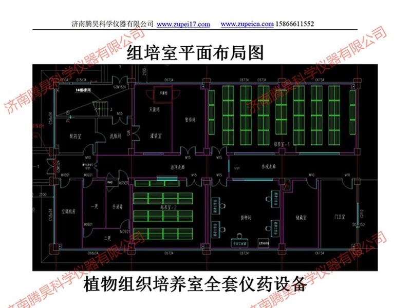 河北植物麻豆成人影院在线室