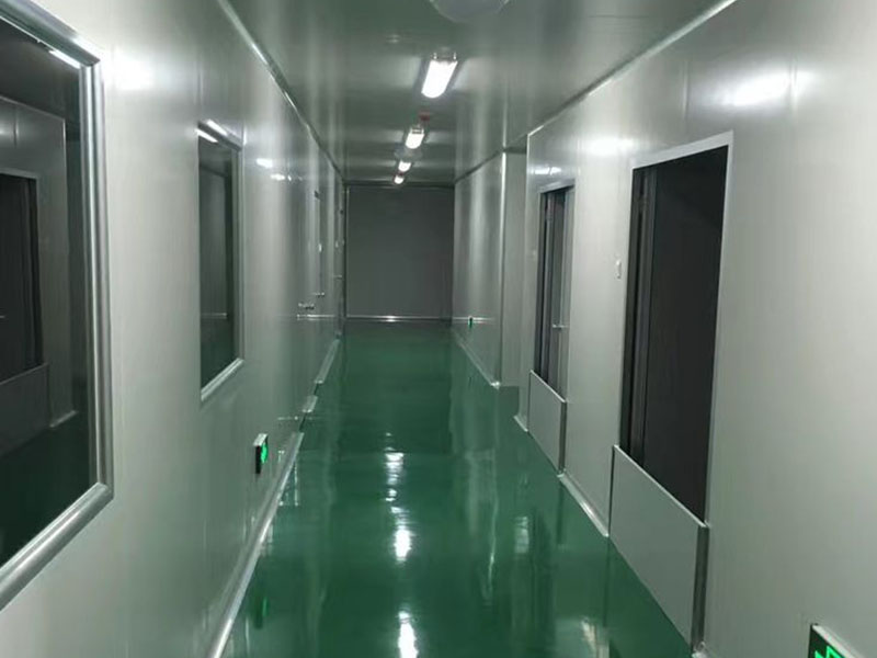 麻豆成人影院在线室净化