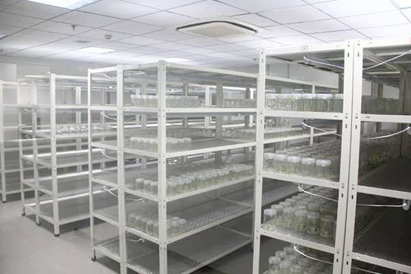 麻豆成人影院在线架的优点有哪些