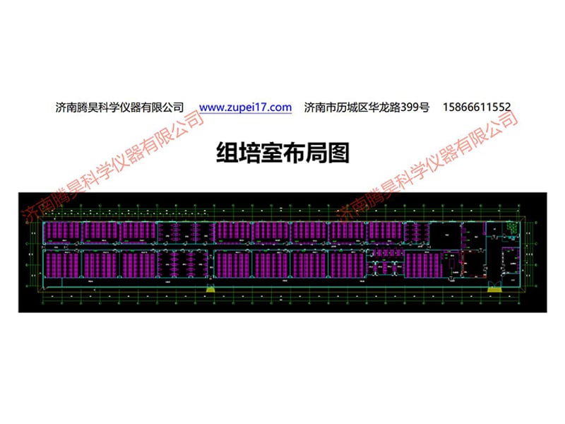 浙江植物麻豆成人影院在线实验