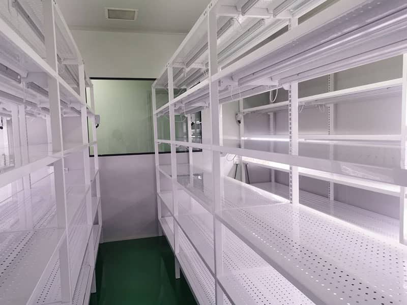 麻豆成人影院在线  麻豆成人影院在线架