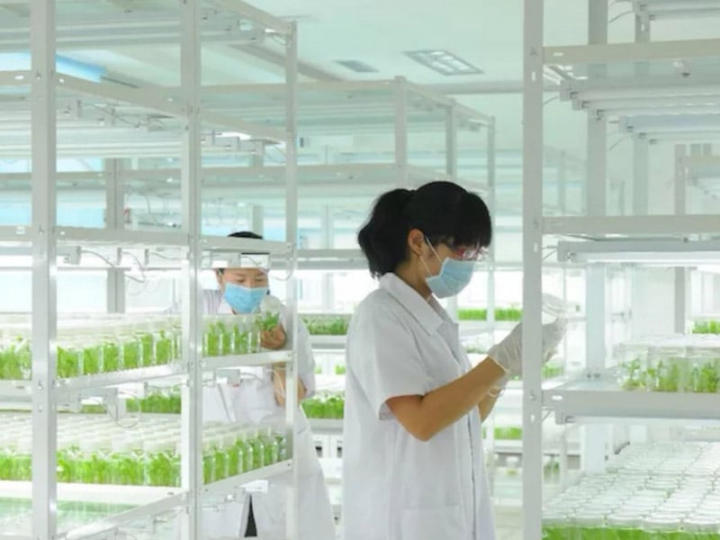 麻豆成人影院在线  麻豆成人影院在线架