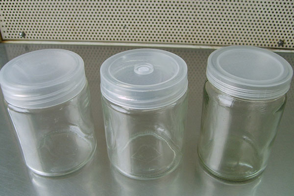 麻豆成人影院在线瓶厂家介绍选购高质量苗木的原则以及注意事项