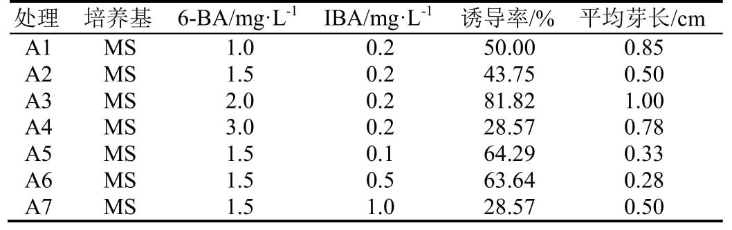 叶下珠麻豆成人影院在线快繁体系研究
