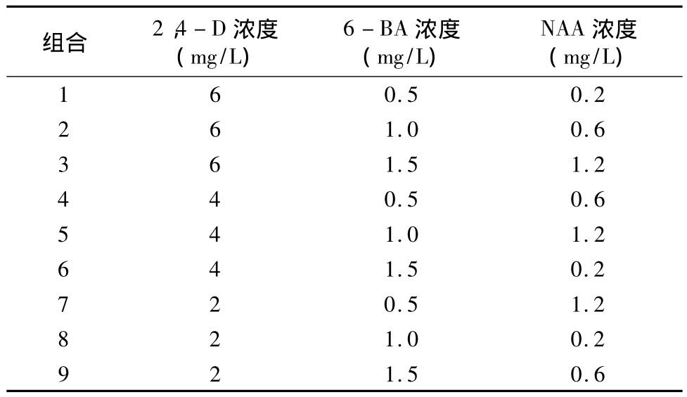 柳枝稷种子麻豆成人影院在线快繁技术