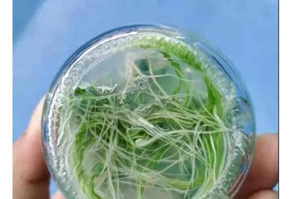 麻豆成人影院在线室的管理与使用