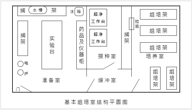 麻豆成人影院在线室建设的技术要求
