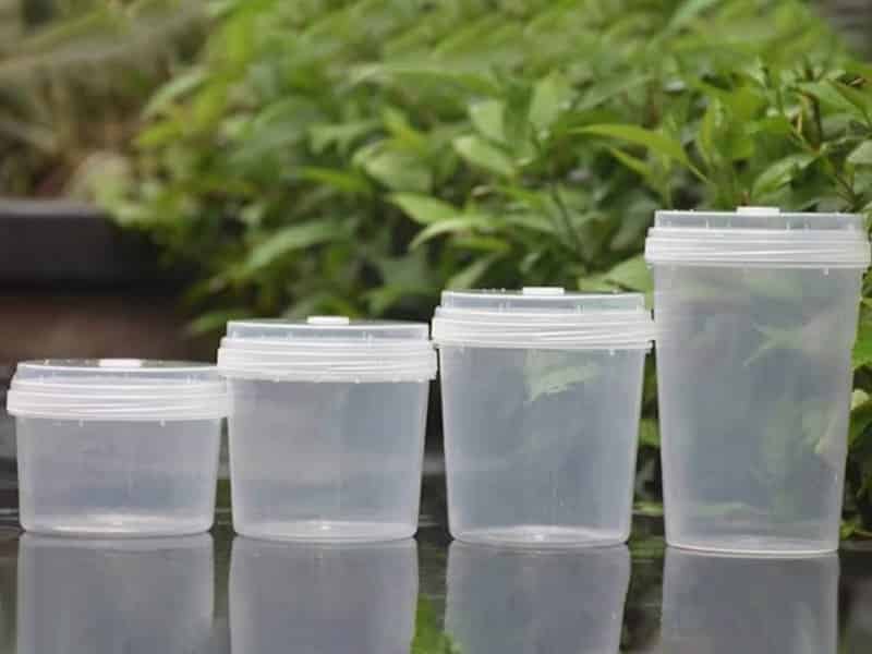 麻豆成人影院在线瓶
