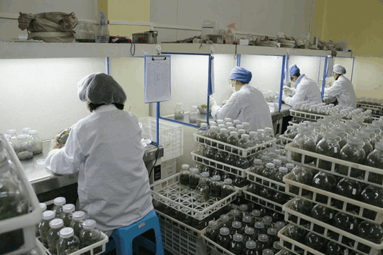 麻豆成人影院在线室常用的仪器设备--超净台