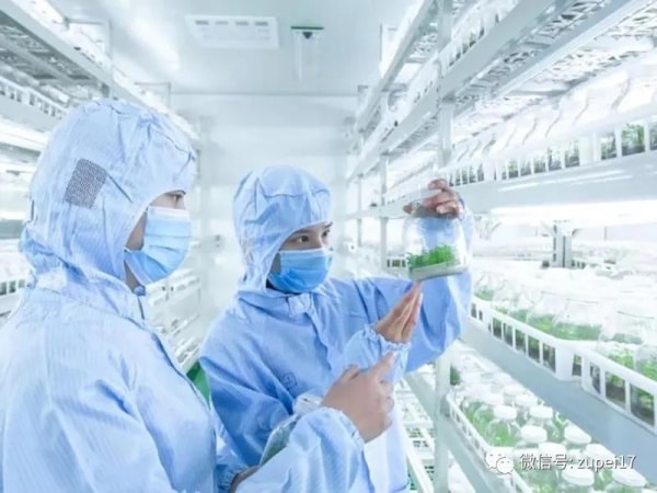 麻豆成人影院在线室建设之前应该做哪些准备？