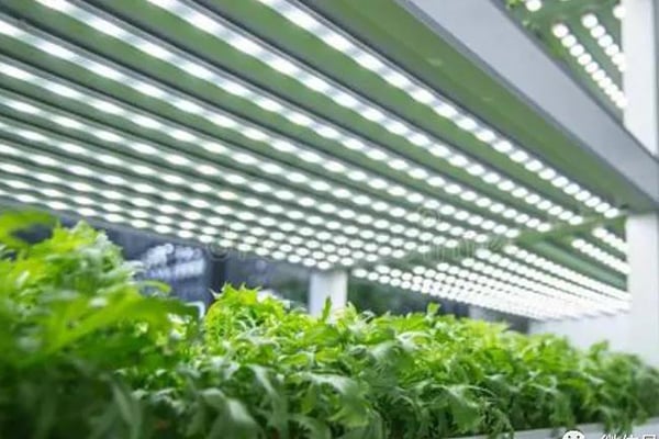 麻豆成人影院在线室建设