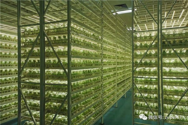 麻豆成人影院在线仪器设备&mdash;&mdash;卧式矩形灭菌器