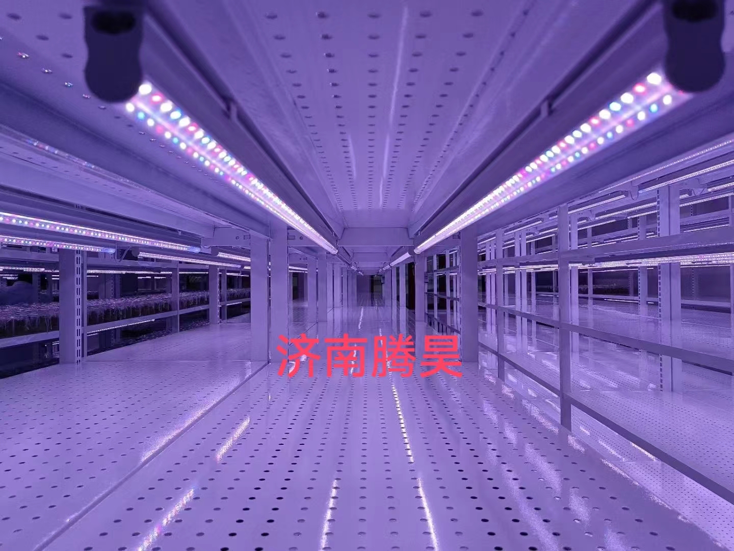 麻豆成人影院在线架，培养架，光照培养架，麻豆成人影院在线室设计，麻豆成人影院在线室无菌净化