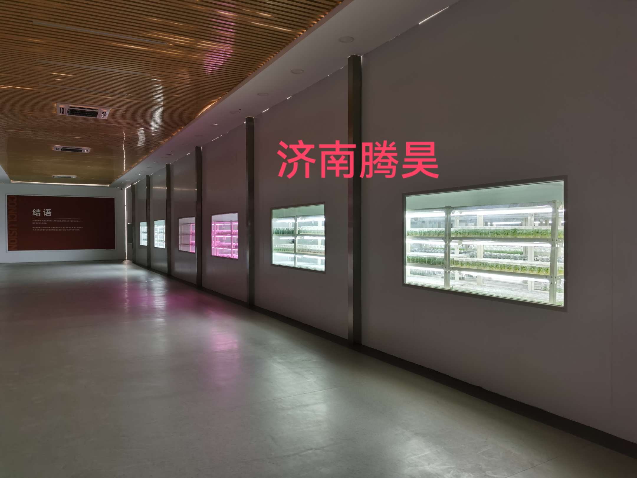 麻豆成人影院在线仪器设备