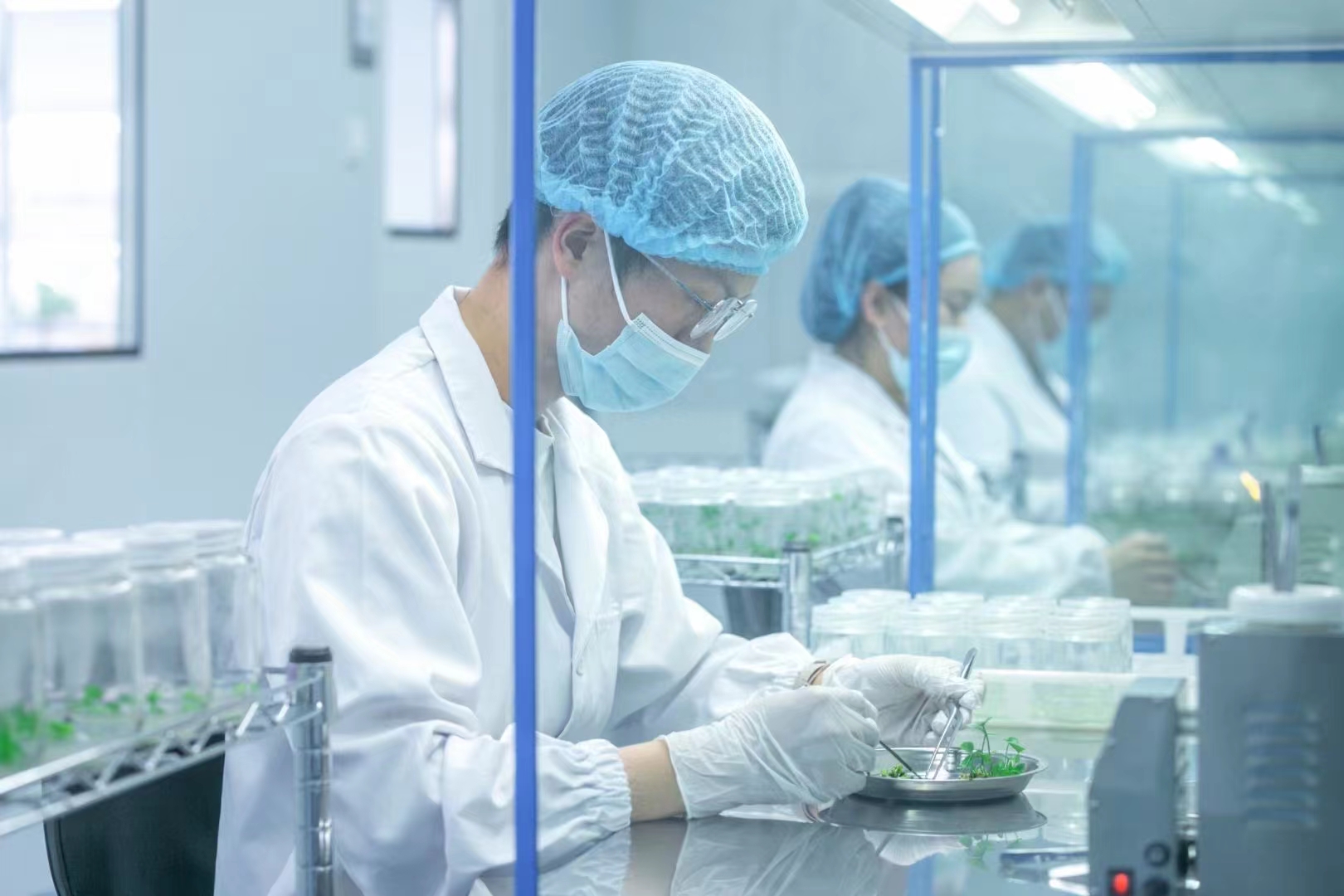 灭菌器  麻豆成人影院在线灭菌锅  高压灭菌设备