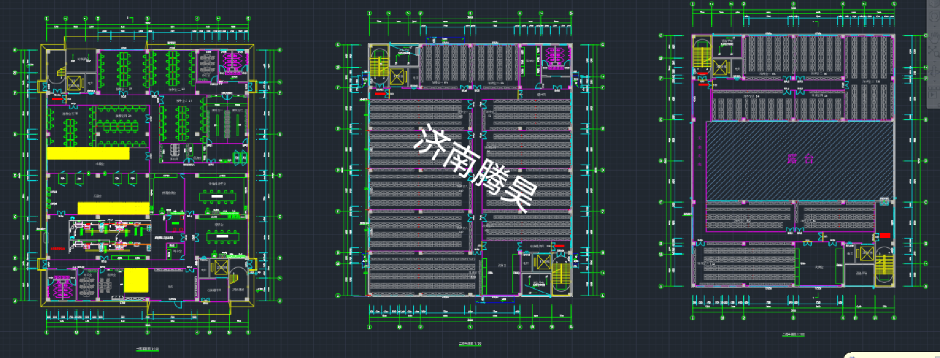 山东东营 5000㎡ 蝴蝶兰麻豆成人影院在线室