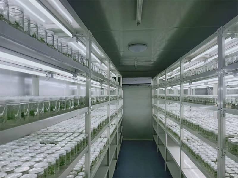 麻豆成人影院在线设备厂家麻豆免费看黄色网站讲解植物麻豆成人影院在线知识