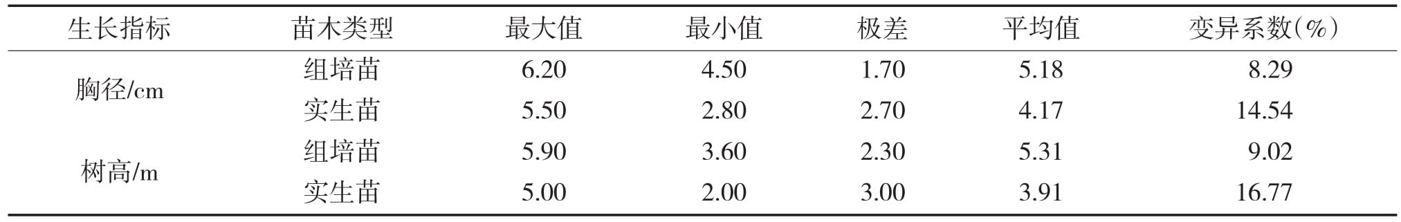 大花序桉麻豆成人影院在线苗15个月龄幼林生长