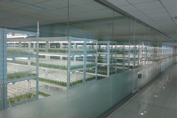 完整的麻豆成人影院在线室有哪些组成