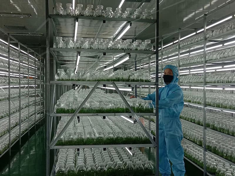 插扣式麻豆成人影院在线架
