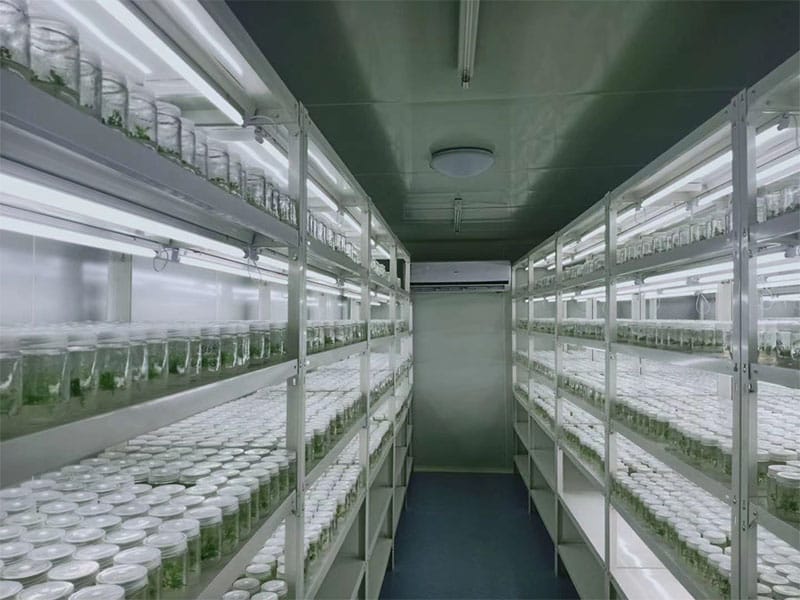 层板式麻豆成人影院在线架